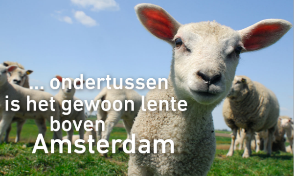 In en om het huis boven Amsterdam