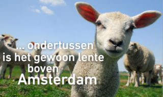 Holland boven amsterdam lenete 