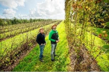 Afbeelding Smaak van de Wadden - Nieuwsbrief HK