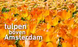 tulpen boven Amsterdam