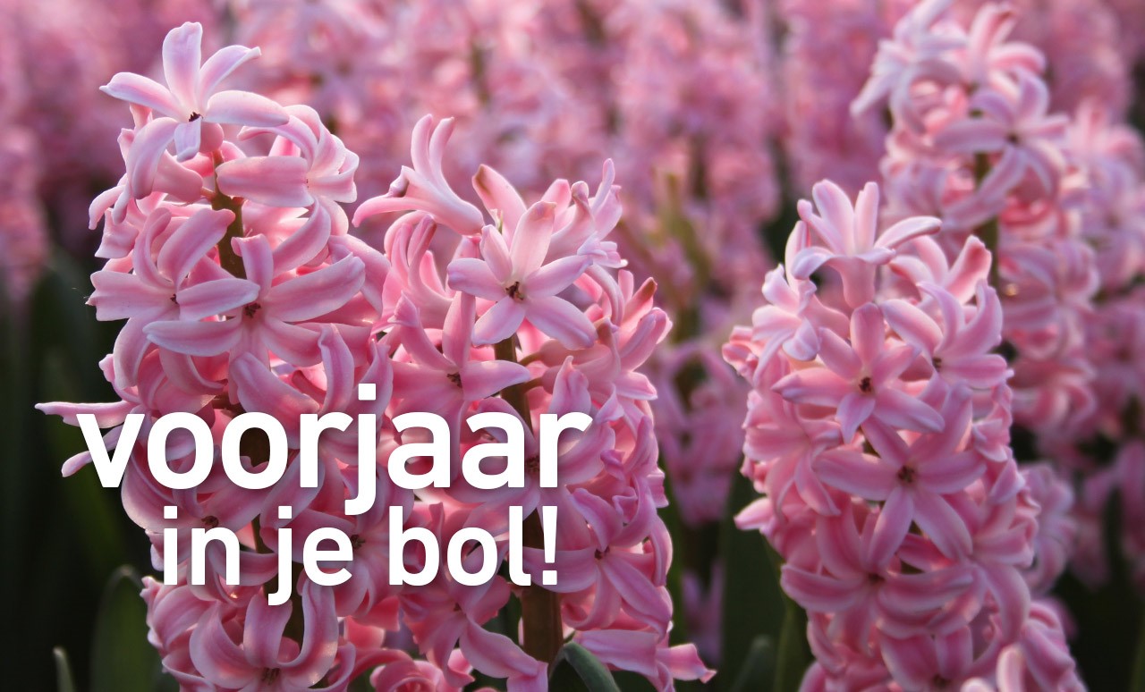 Voorjaar in je bol!