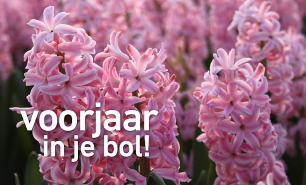 Voorjaar in je bol!