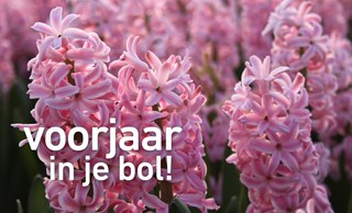 Voorjaar in je bol!