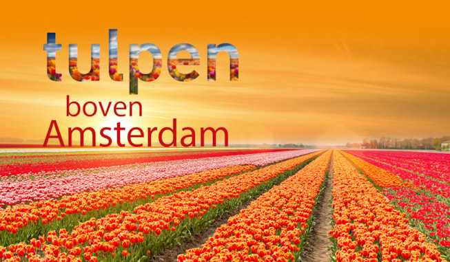 Tulpen boven Amsterdam