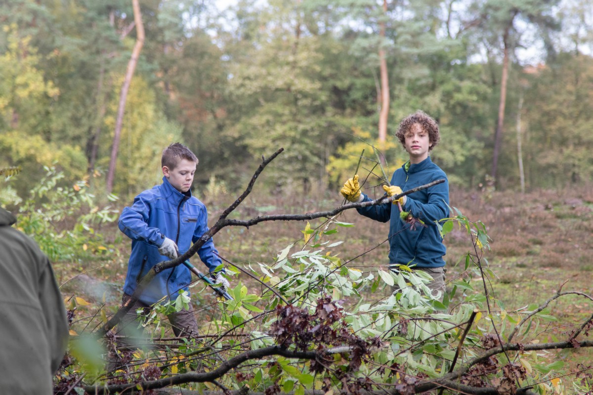 Natuurwerkdag bij Staatsbosbeheer in het Robbenoordbos