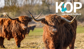 Kop van Noord-Holland