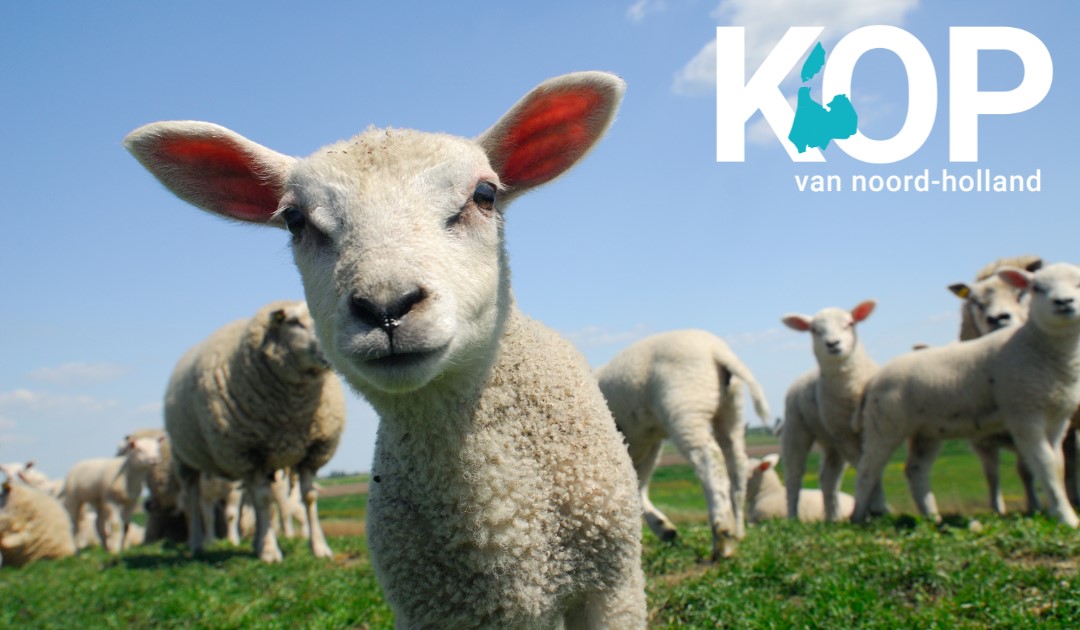 Pasen in de KOP