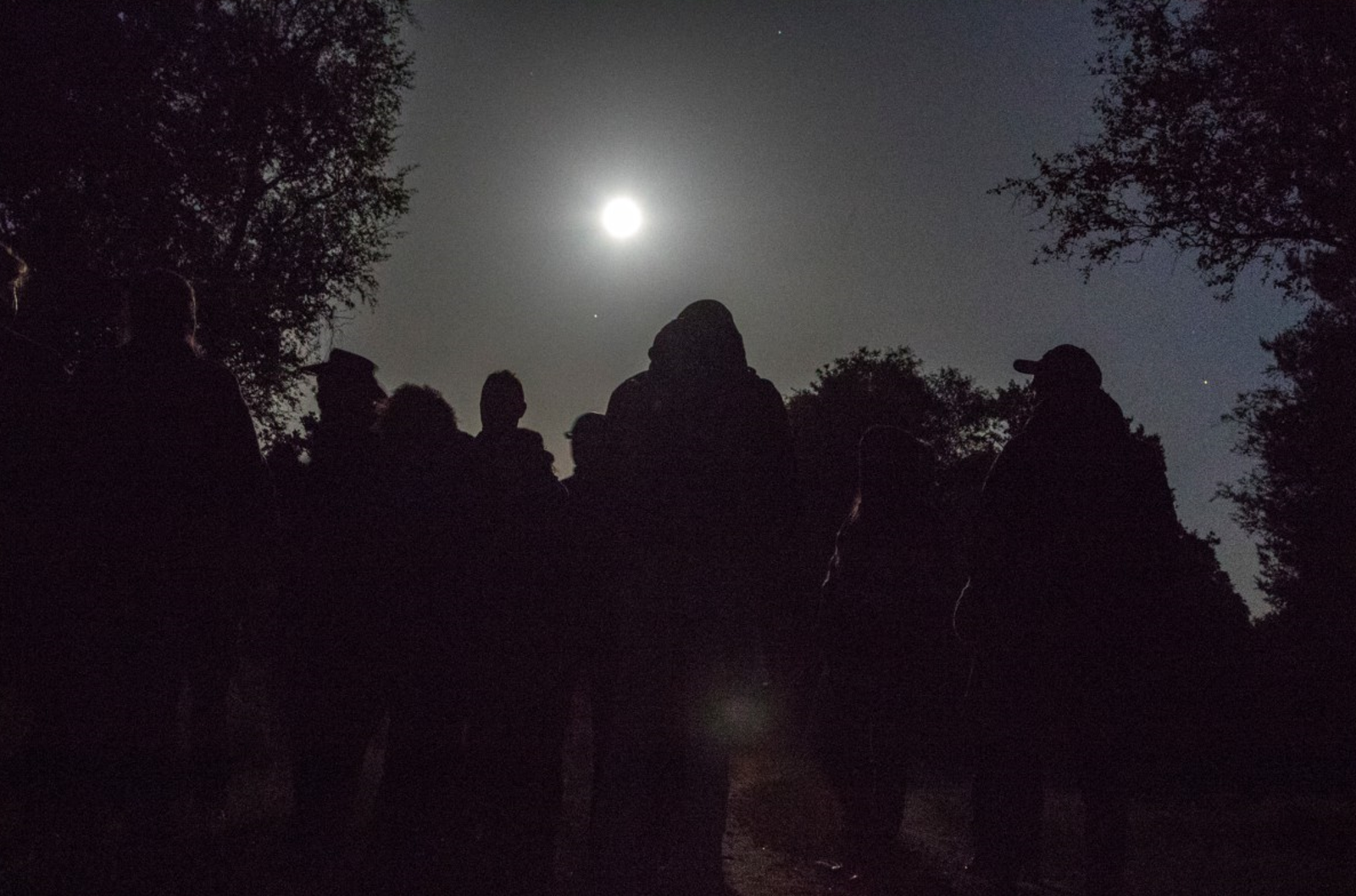 29 augustus Nacht van de vleermuis in het Robbenoordbos